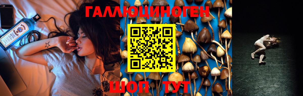 Астрахань  Галлюциногенные грибы мухоморы  купить наркоту  Вход с VPN 